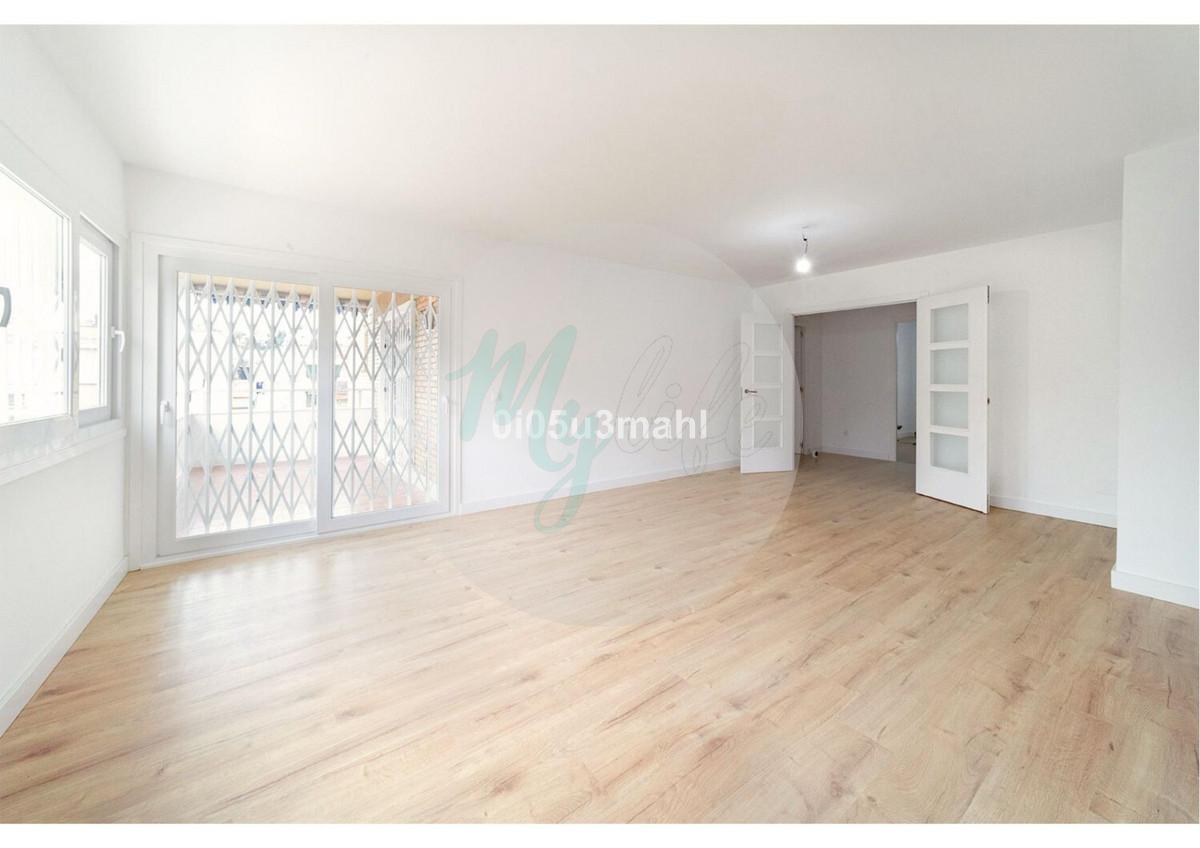 Media planta en El Palo