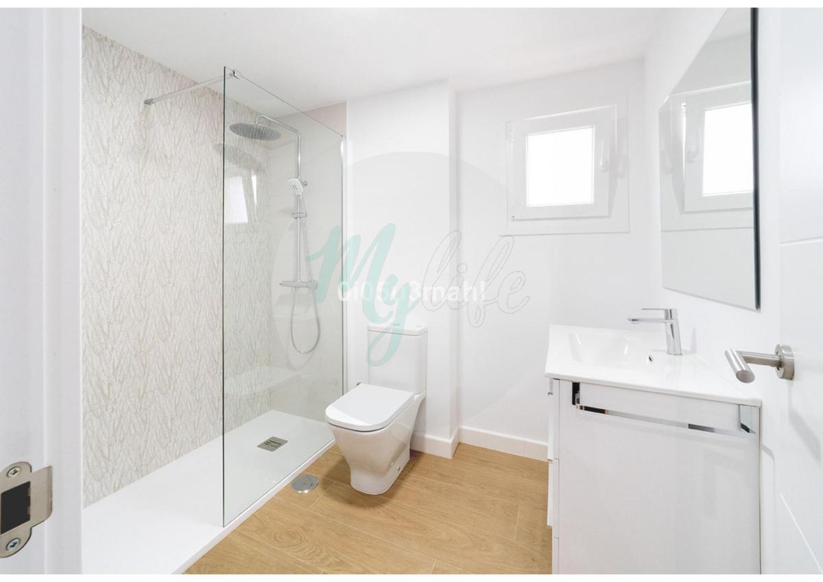 Media planta en El Palo