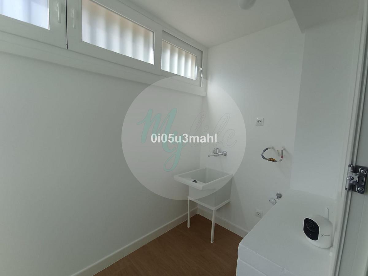 Media planta en El Palo