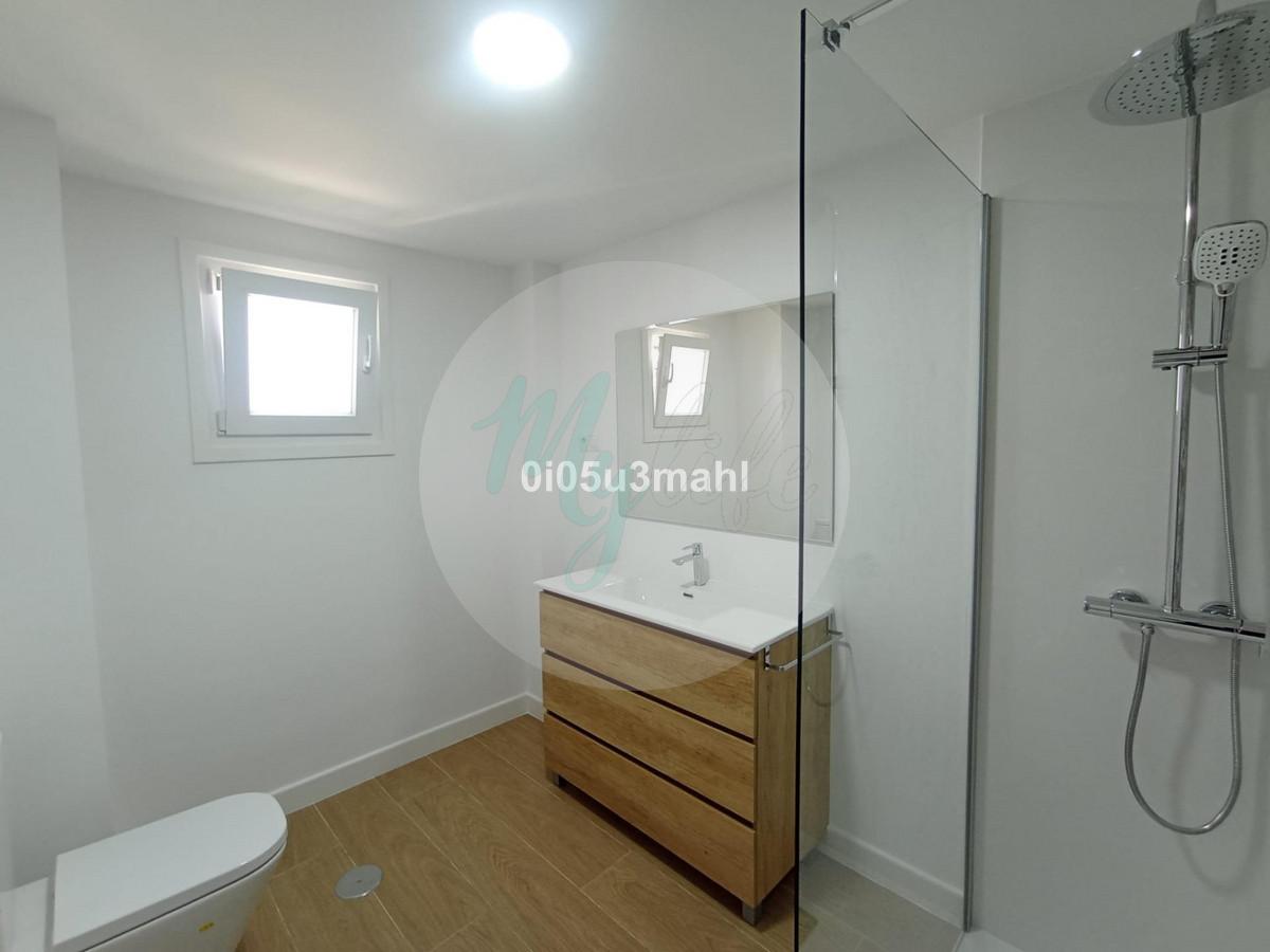 Media planta en El Palo