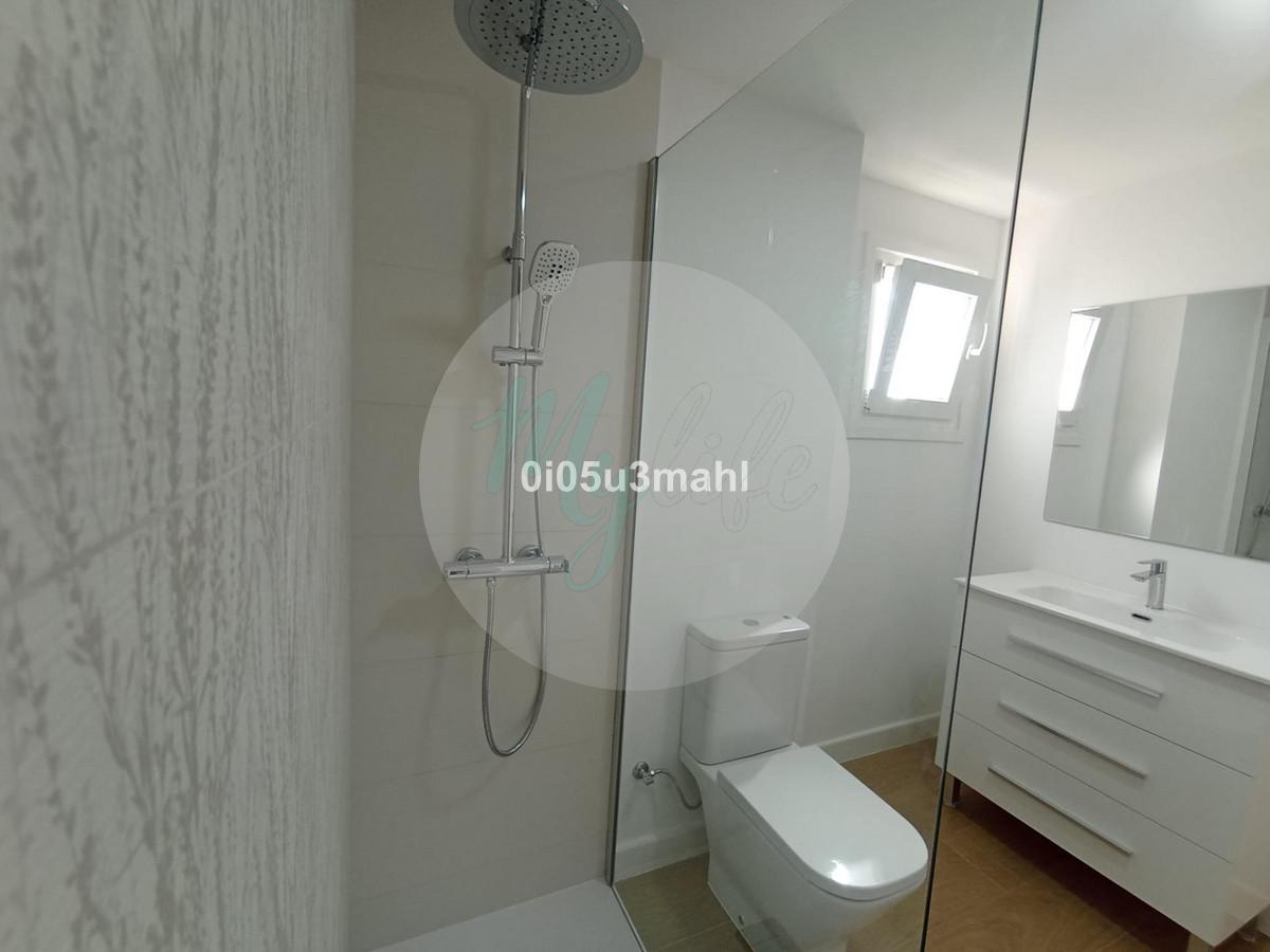 Media planta en El Palo