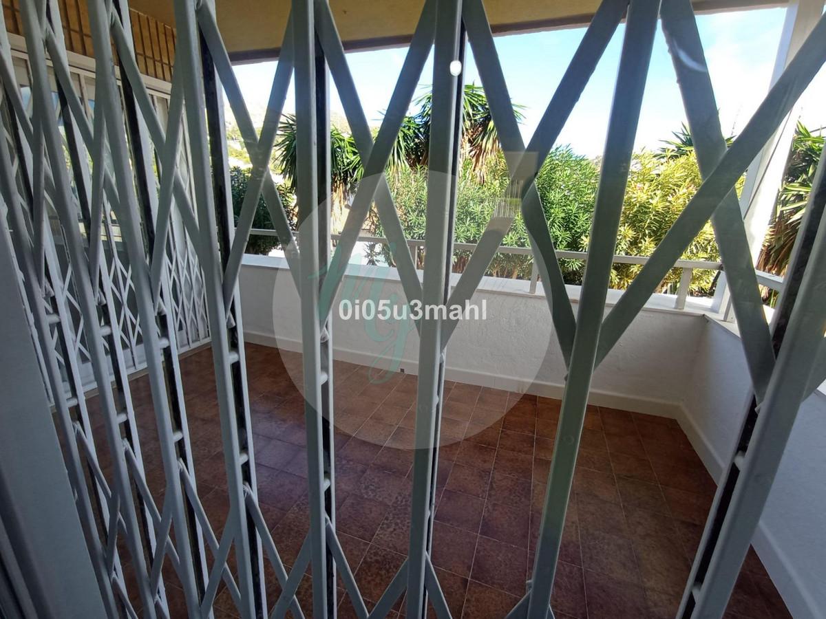 Media planta en El Palo