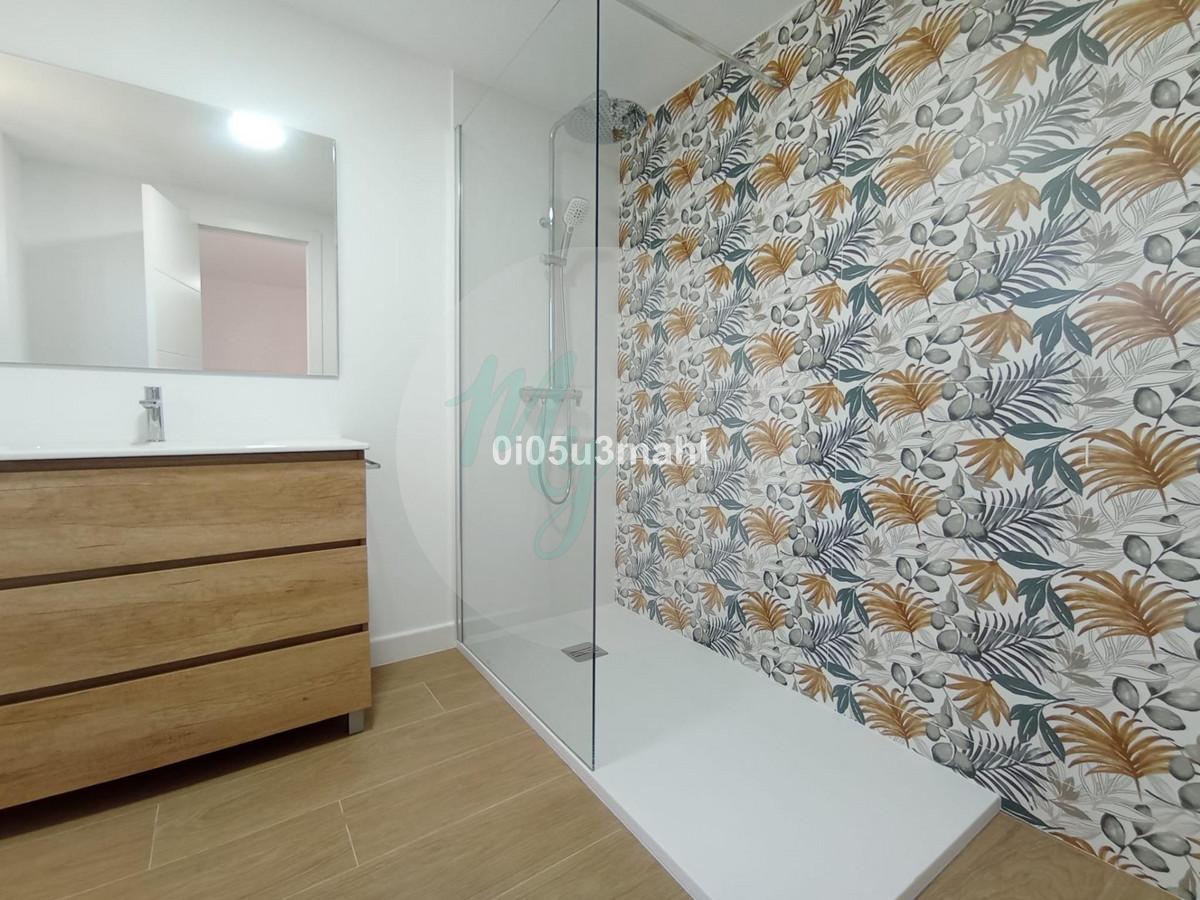 Media planta en El Palo