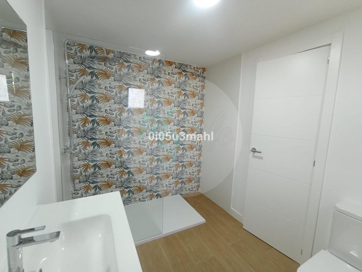 Media planta en El Palo