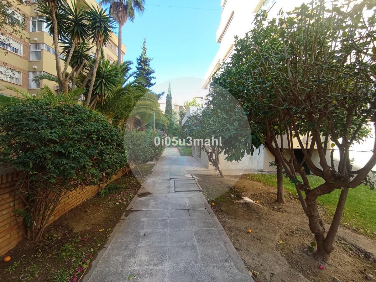 Media planta en El Palo