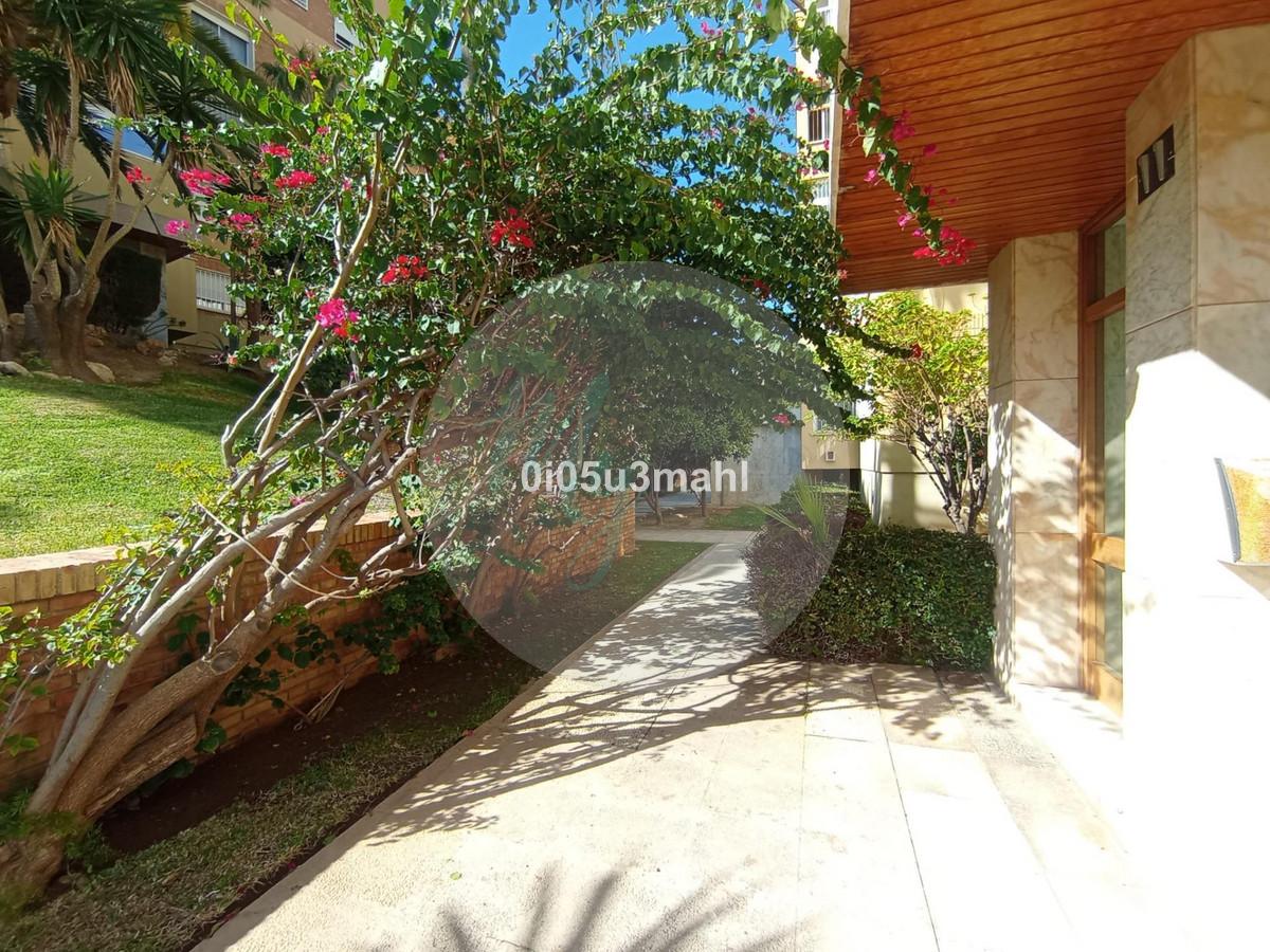 Media planta en El Palo