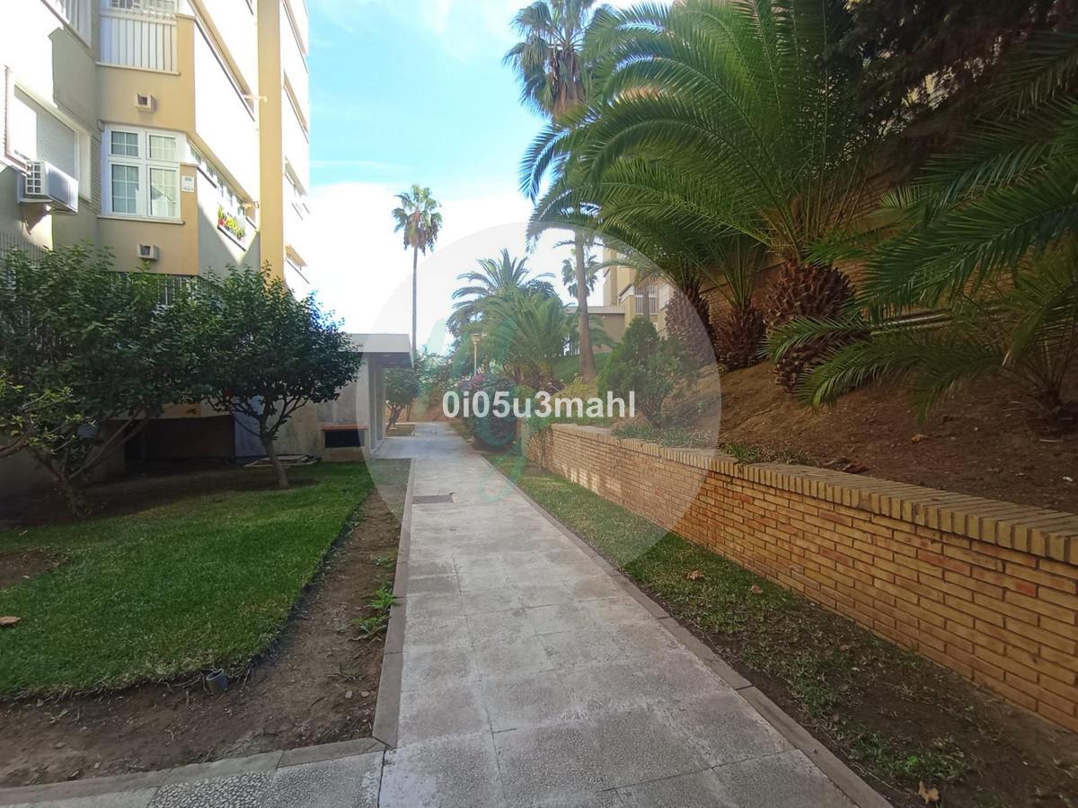 Media planta en El Palo