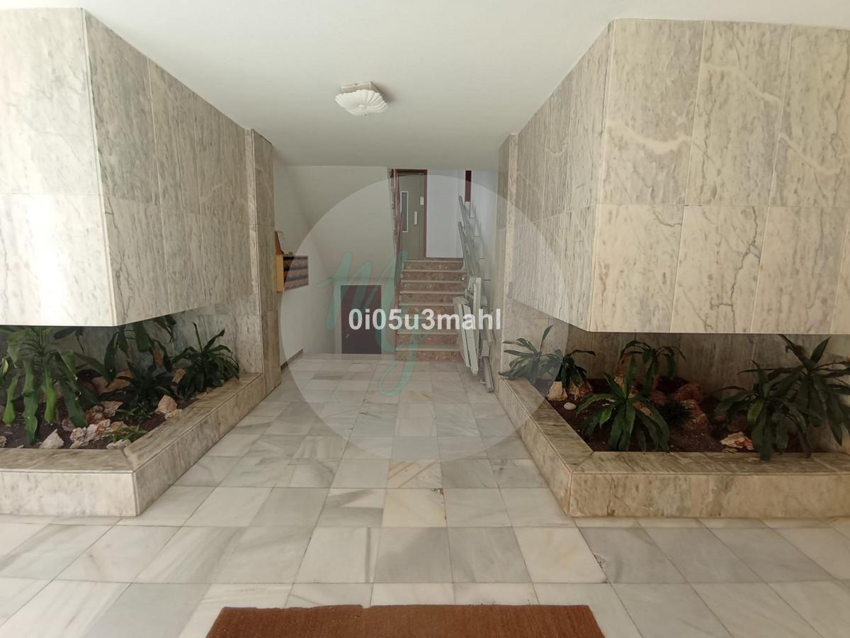 Media planta en El Palo