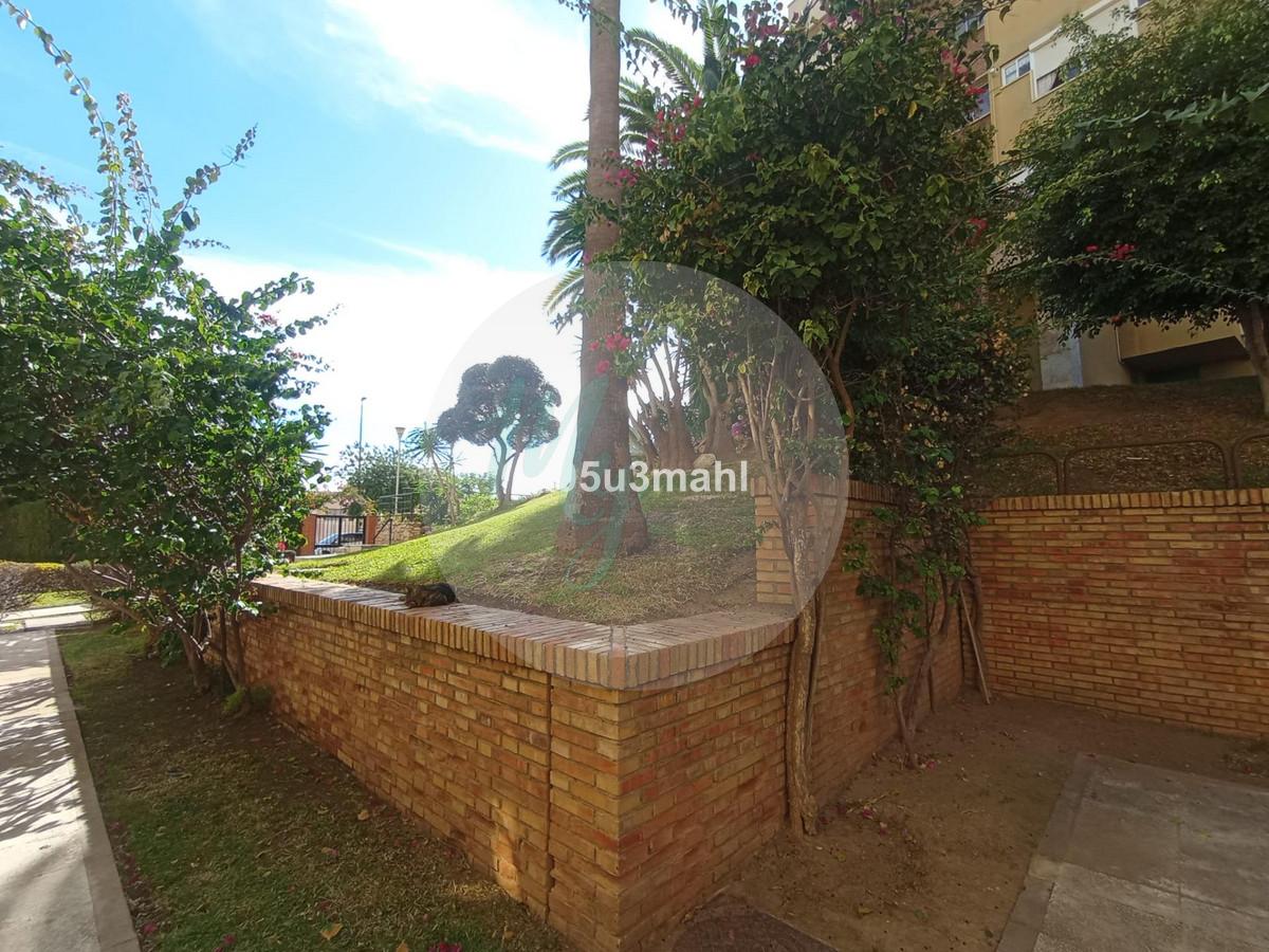 Media planta en El Palo