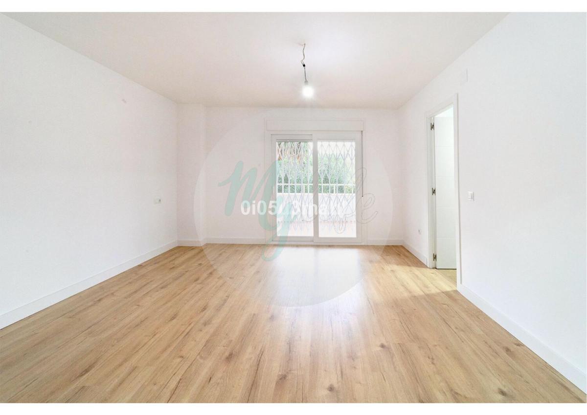 Media planta en El Palo