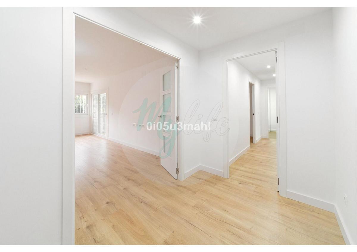 Media planta en El Palo