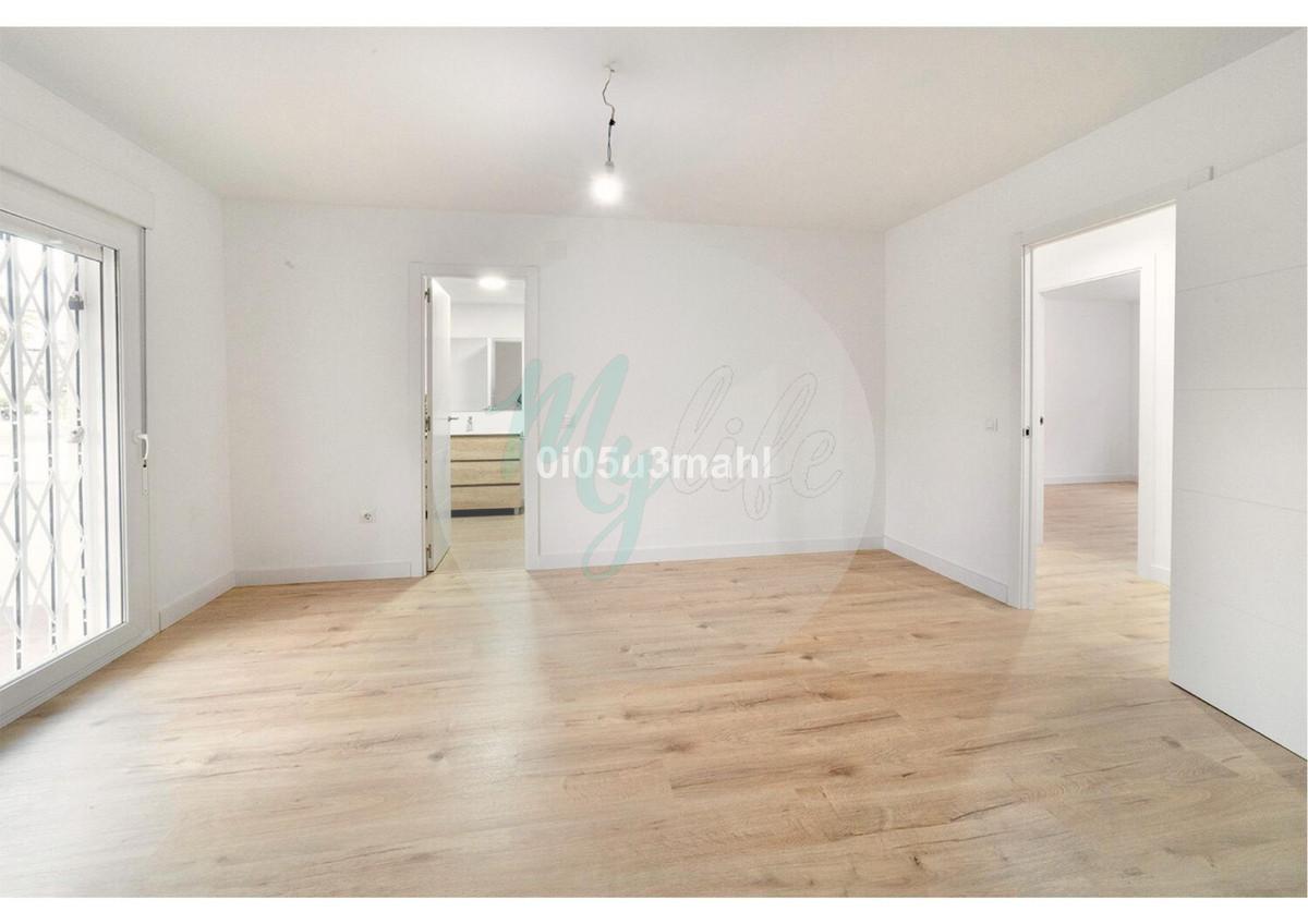 Media planta en El Palo