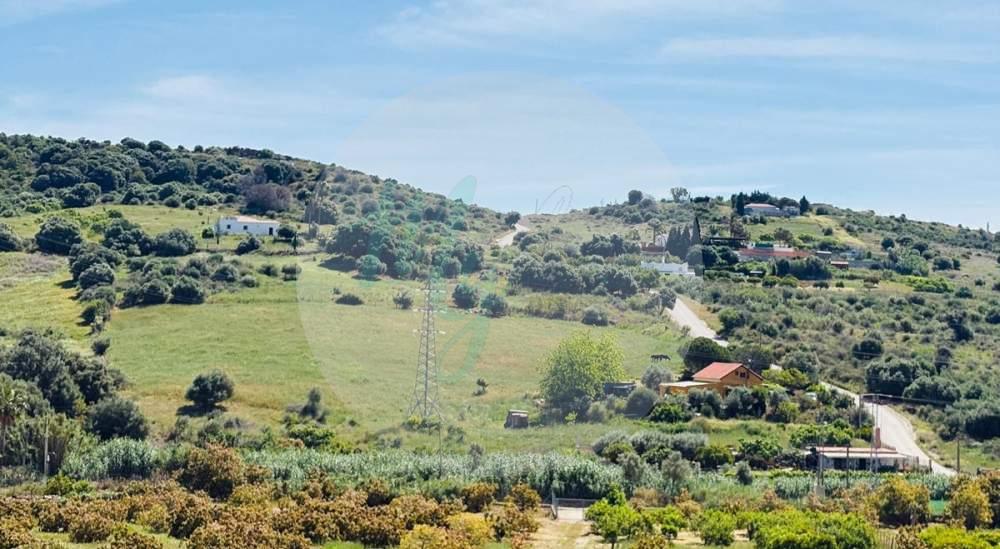 Urban plot in Estepona