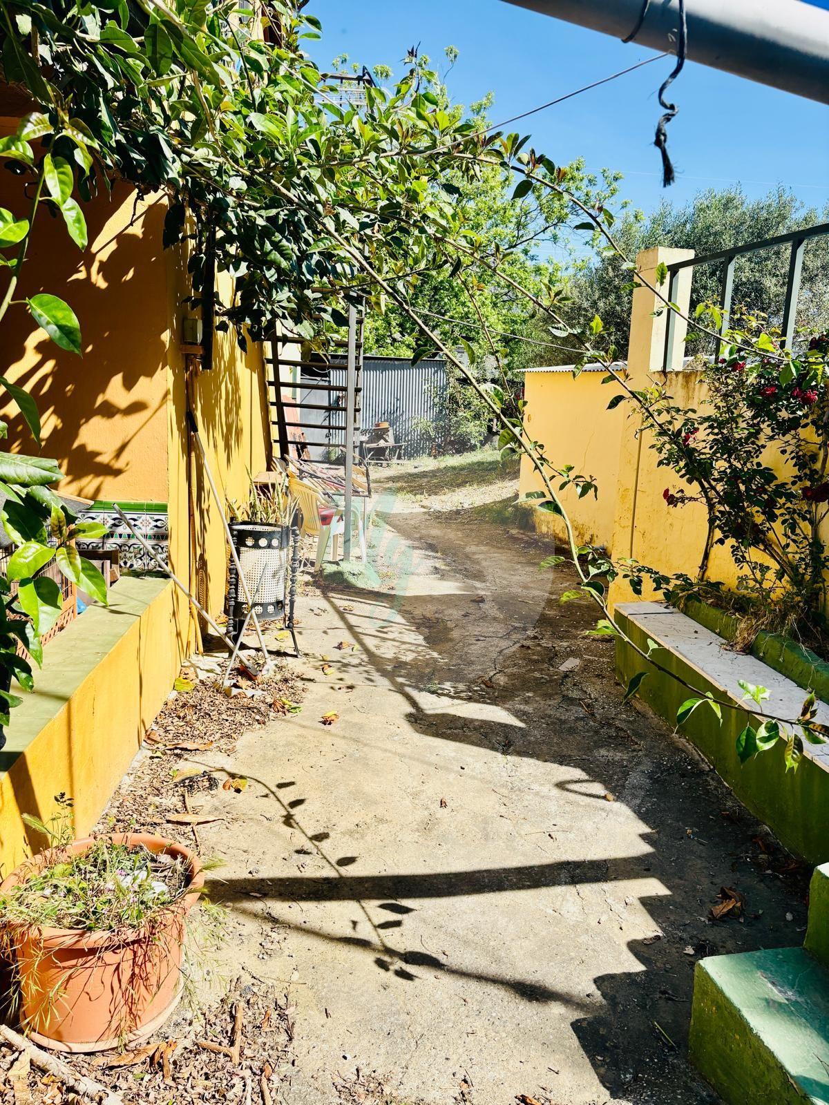 Urban plot in Estepona