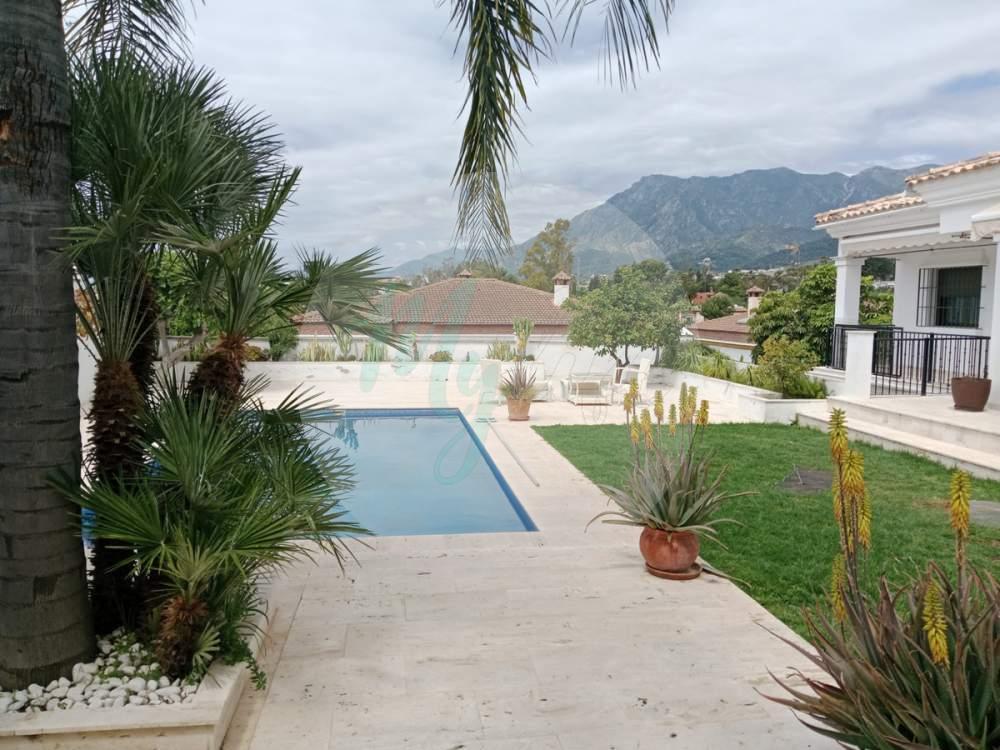 Wholesale & Distribution in Marbella centre