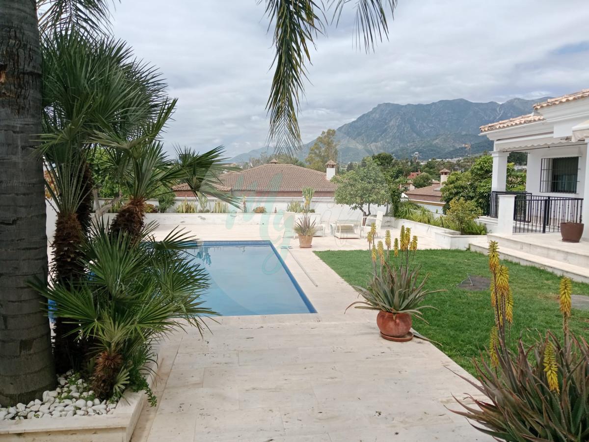 Wholesale & Distribution in Marbella centre