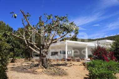 ibiza-estate