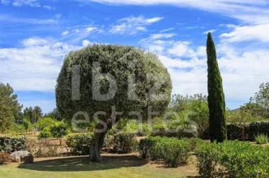 ibiza-estate