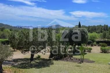 ibiza-estate