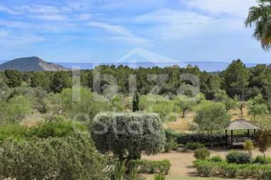 ibiza-estate