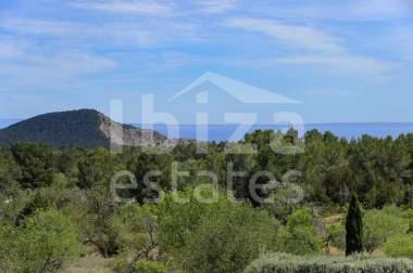 ibiza-estate