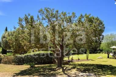 ibiza-estate