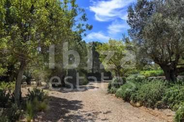 ibiza-estate