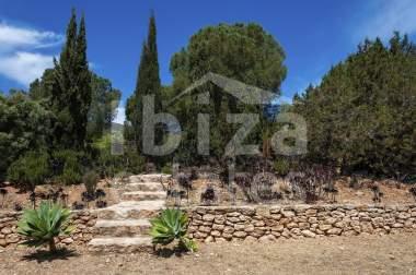 ibiza-estate