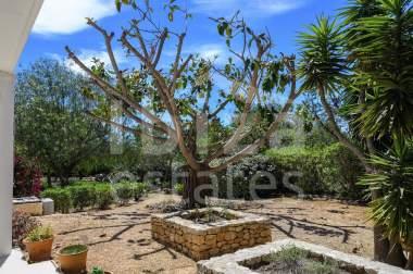 ibiza-estate