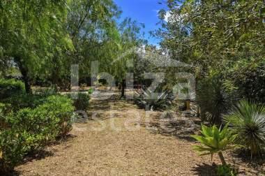 ibiza-estate