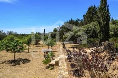 ibiza-estate