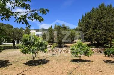 ibiza-estate