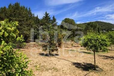ibiza-estate