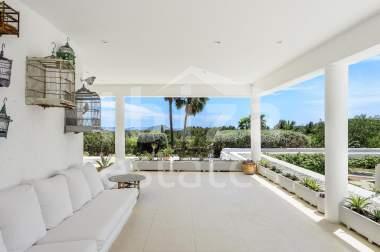 ibiza-estate