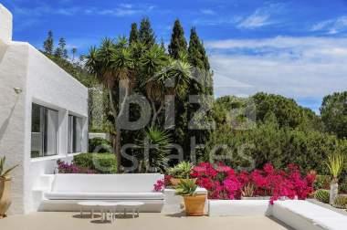 ibiza-estate