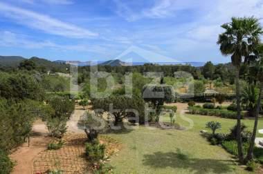 ibiza-estate