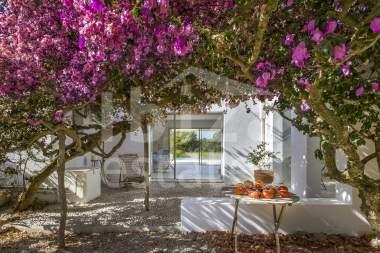 ibiza-estate