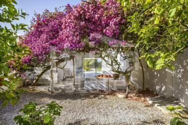 ibiza-estate