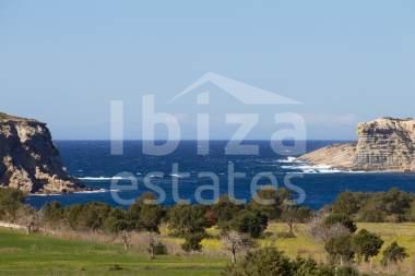 ibiza-estate