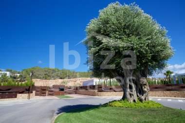 ibiza-estate