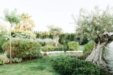 ibiza-estate