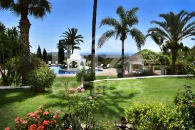ibiza-estate