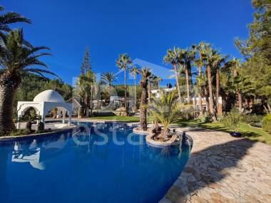 ibiza-estate