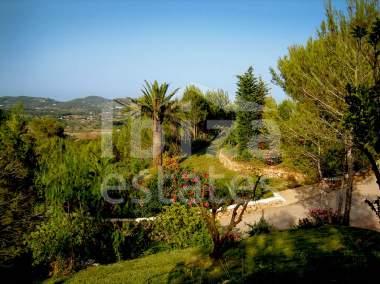 ibiza-estate