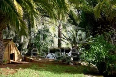 ibiza-estate