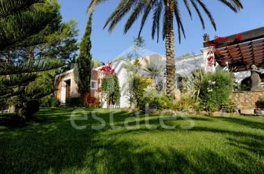 ibiza-estate