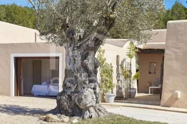 ibiza-estate