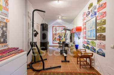 ibiza-estate