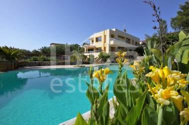 ibiza-estate