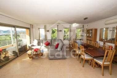 ibiza-estate